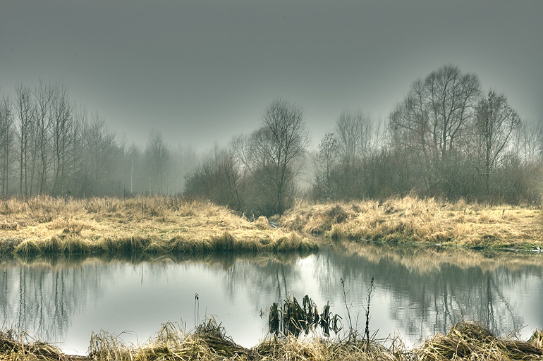 fog | lake, autumn, fog, hdr, reflection