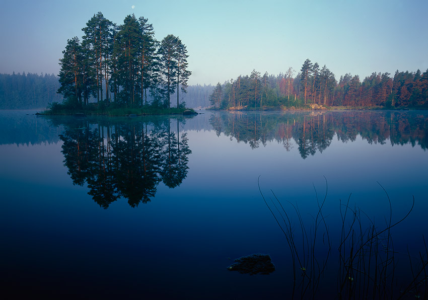 special, karelian | evening, reflection, pine, island, lake