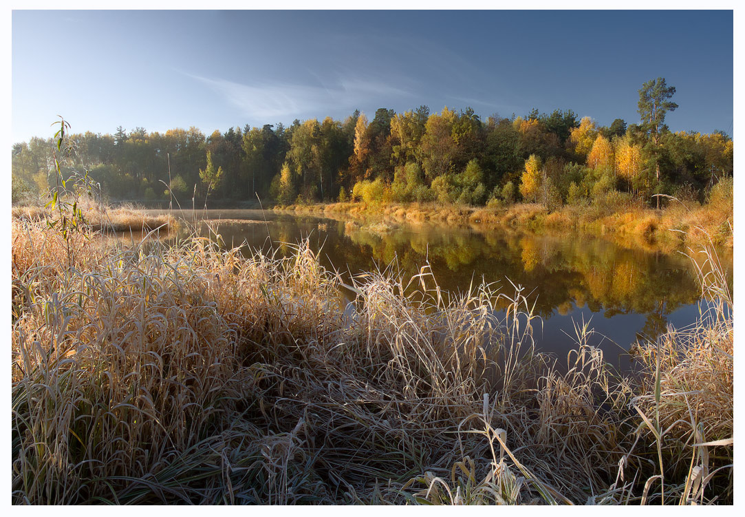 October landscape  | landscape  , water, october, autumn , forest, dry grass, golden, sunny, day, nature