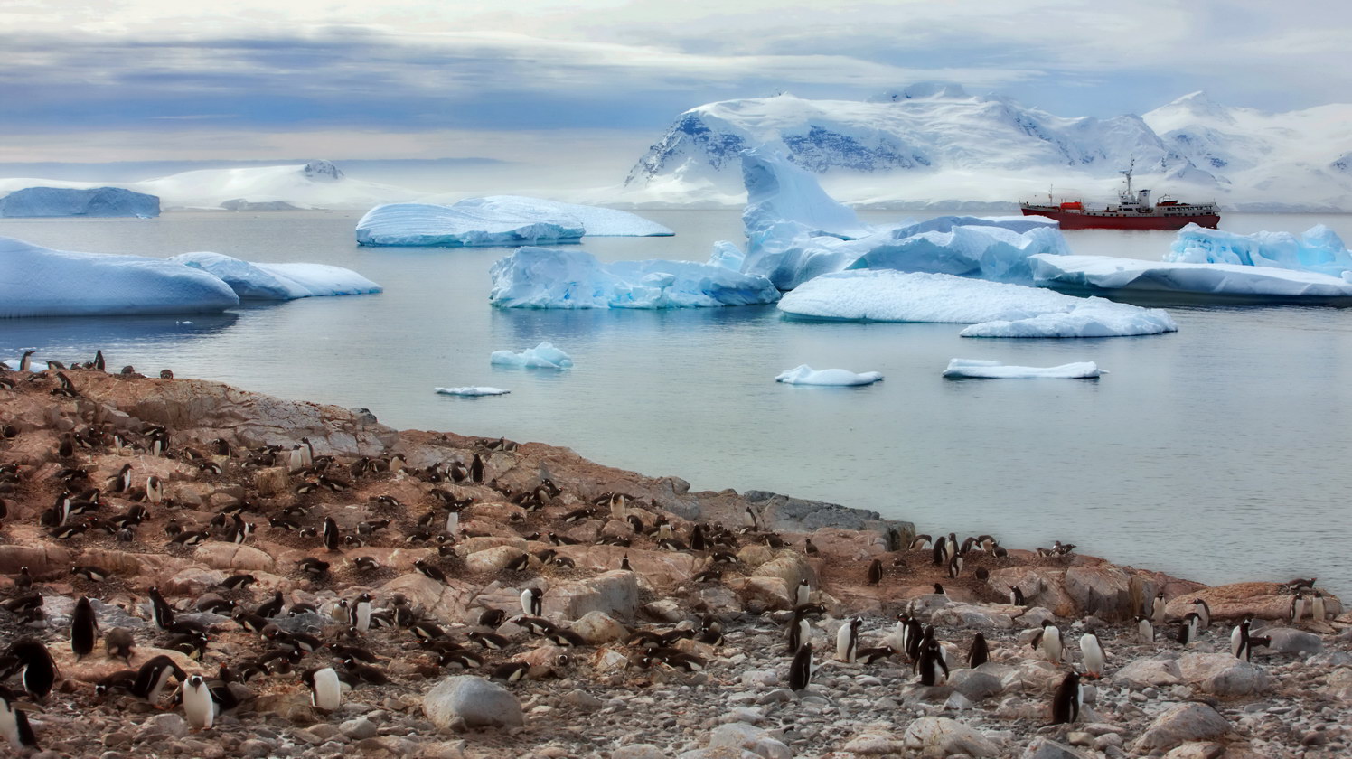 Antarctic, penguins | landscape, outdoor, nature, Antarctic, penguins, water, ice, sky, ship, clouds