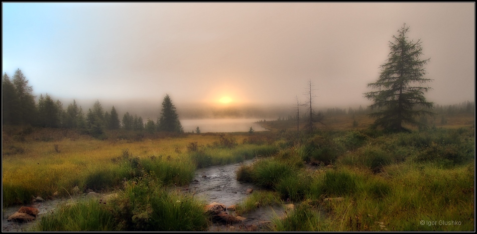 Summer dawn, Buryatia | Buryatia, lake, summer, fog, august, taiga, lush grass , trees, sun, skyline 